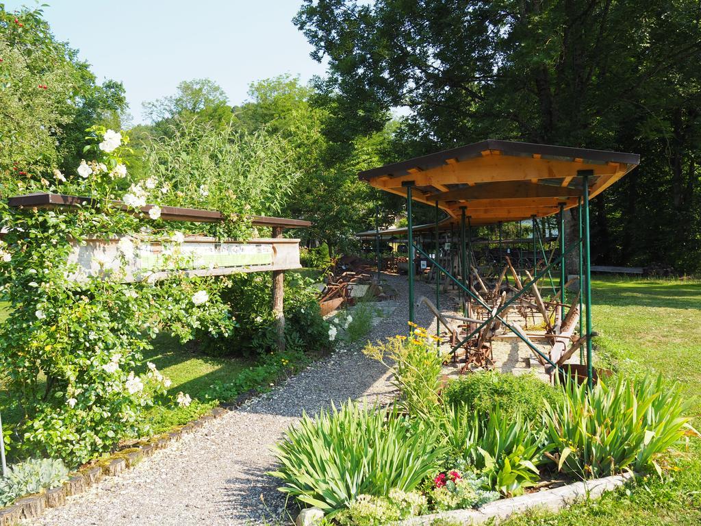 Gasthof Sturmmuehle Saxen Εξωτερικό φωτογραφία